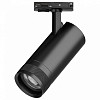 Светильник на штанге Lightstar Canno Pro C4207SS 100_100_3088087